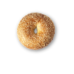 ~ The Bagels! ~