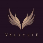 ValkZ Clothing