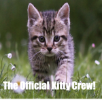 The Offical Kitty Crew!