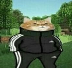 Os Coalas kkj
