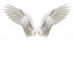 WINGS!!!!!