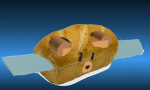 bred b