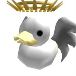 The Swag Ducks Group