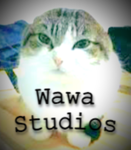 Wawa Studios yeah