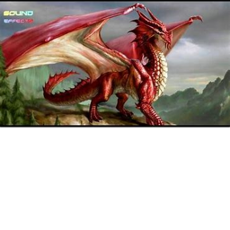 Hotel Dragon