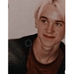 Draco malfoyyyy cult