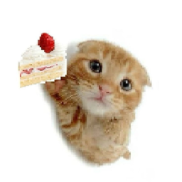 Happy brithay Varvara!