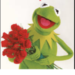 Kermit fan group!!!!