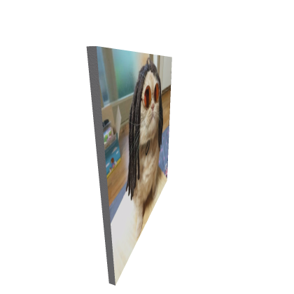 Mop Cat Poster