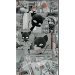 ‘ club miraculous !