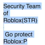 STR(Security Team of Roblox)