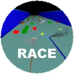 Race