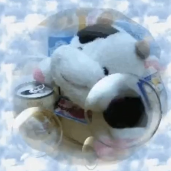 ⋆ ˚｡⋆୨୧˚ (ꈍᴗꈍ) ♡︎ 