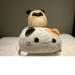 Animals are my favorite must be an animal!! :D