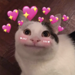 Anime chill ##### ######