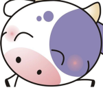 Lavender Cows!