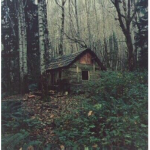 Ted's Hut