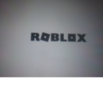 The Bloxburg fan squad