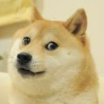 DogeGuy Films