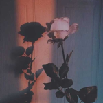 ~Flower Squad~