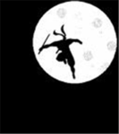 shadow ninja wariiors