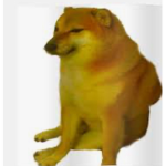 SLY DOG DOGO!!!