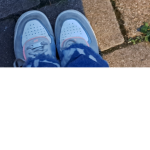 Dino Ente Gang