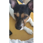 Lol Group c: