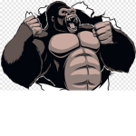 Assistant of Chimp Gang