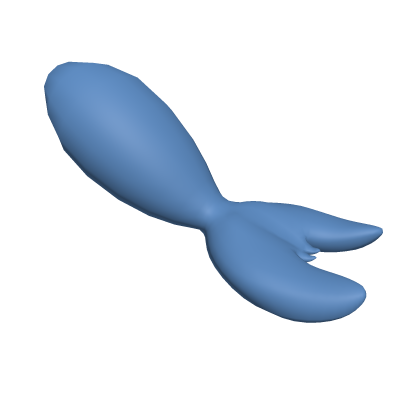 Blue Seal Tail