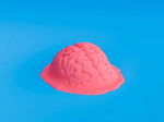 Brainrotted