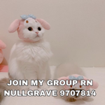 nullgravve