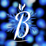 Bt b!