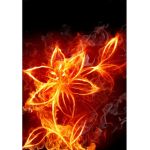 Fire Flower