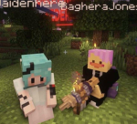 DreamSMP fans