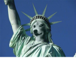 The United States of Doge.