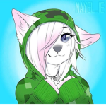 furry and little's store