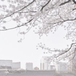 . ۫ ꣑ৎ   .