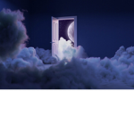 3ccentricDreamerz