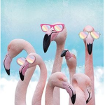 ForeverFlamingos