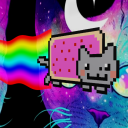 Cat Obby