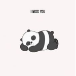 <3 Panda Squad <3 2.0