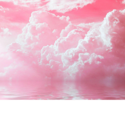 Pink Army home store