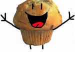 the flan muffin man