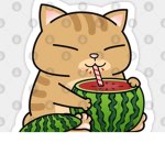 Water_melon!