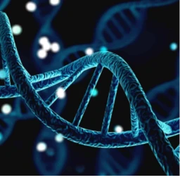 deoxyribonucleic acid icon