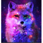 GalacticalFox Studio