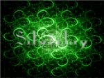 Silverlay: Model Company