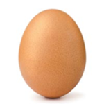 Cracked Egg Productions