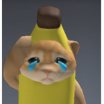 Bannana cat official group